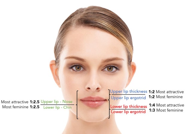 balanced lip anatomy